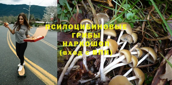 MDMA Белокуриха